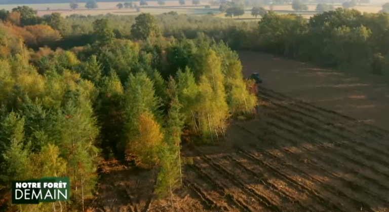 UNISYLVA dans l’émission « Notre Forêt Demain » sur C8