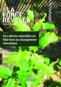 Infolettre N°16
