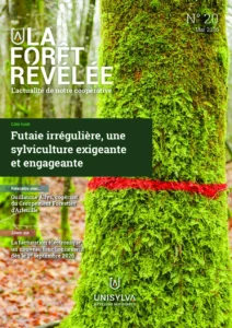 La Forêt Révélée N°20