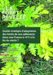 La Forêt Révélée N°21